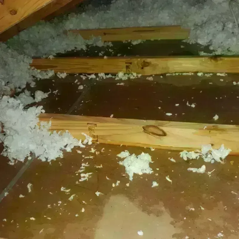 Attic Water Damage in Boutte, LA