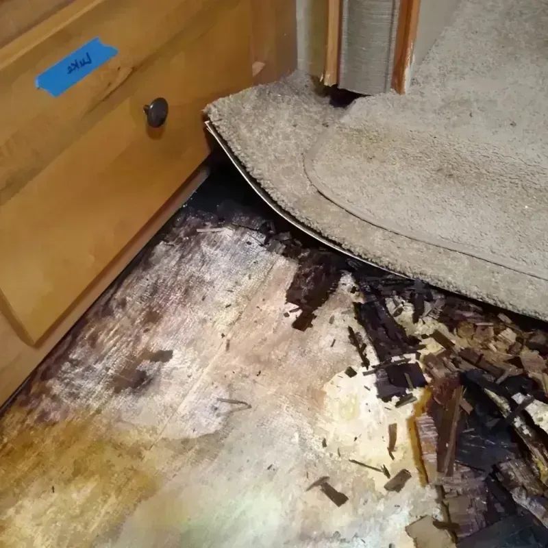 Wood Floor Water Damage in Boutte, LA